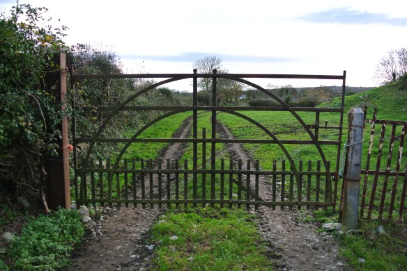 Gate at Mayne. 