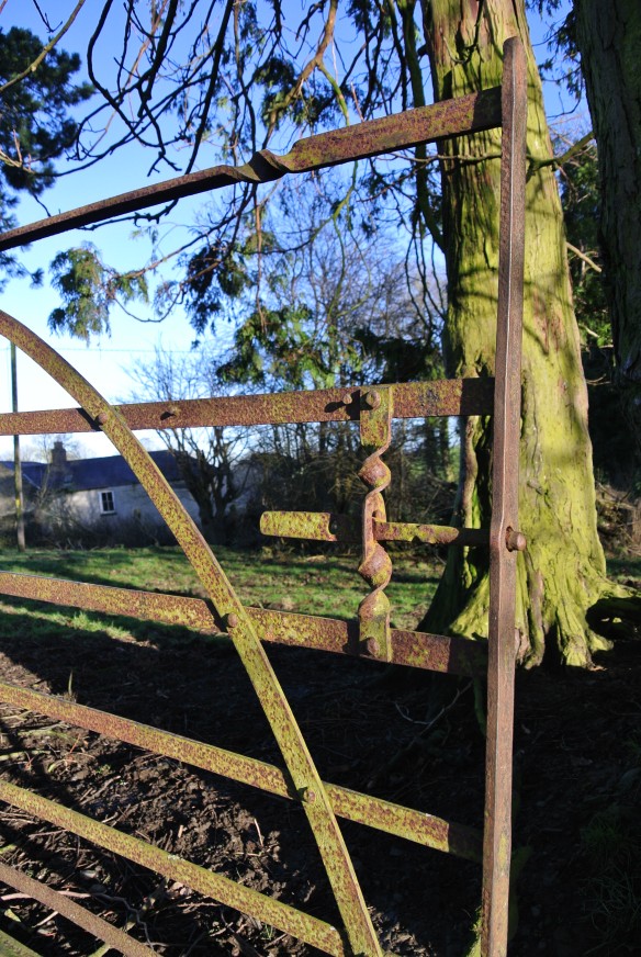 Gate at Kilcurly.