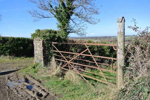 Gate at Richardstown.